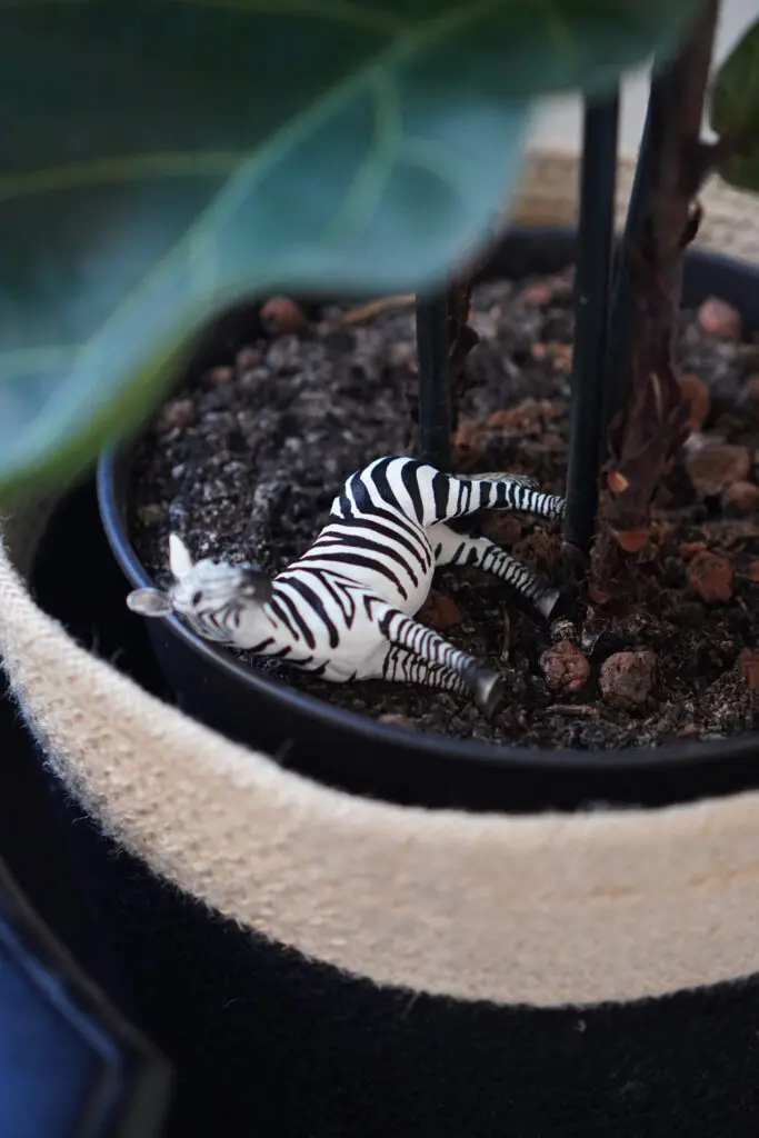 Zebra Spielzeugzebra Schleich Blumentopf