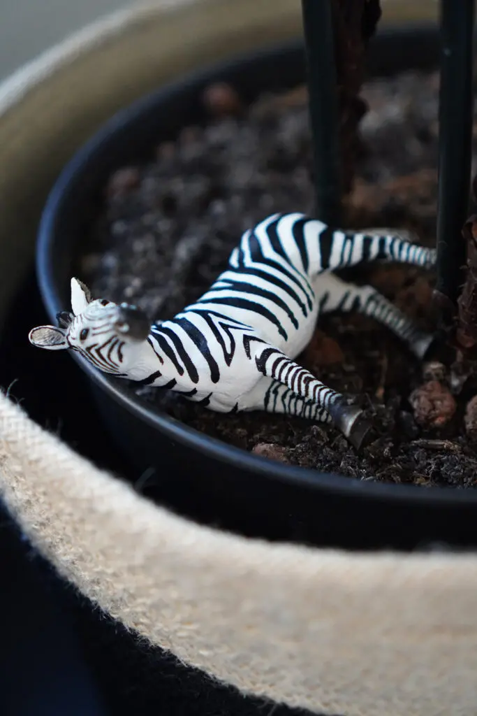 Zebra Spielzeugzebra Schleich Blumentopf
