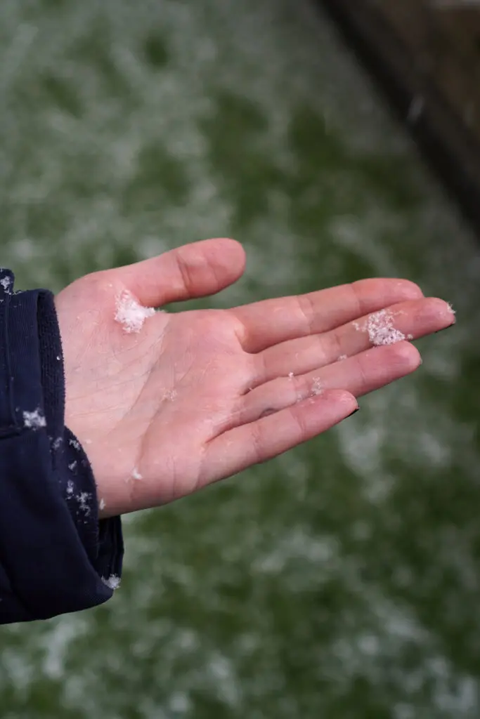 Schnee Hand Schneeflocke